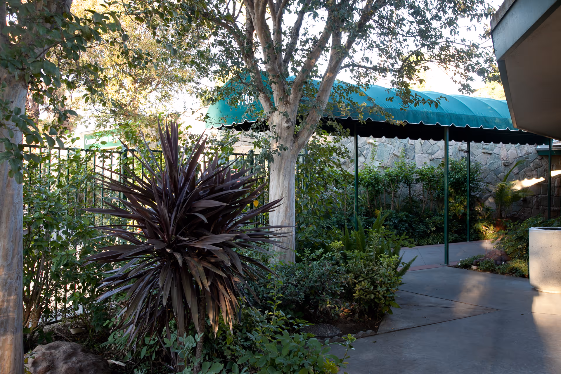 Outdoor garden area with various green plants and trees, a stone wall in the background, and a green canopy covering a walkway.