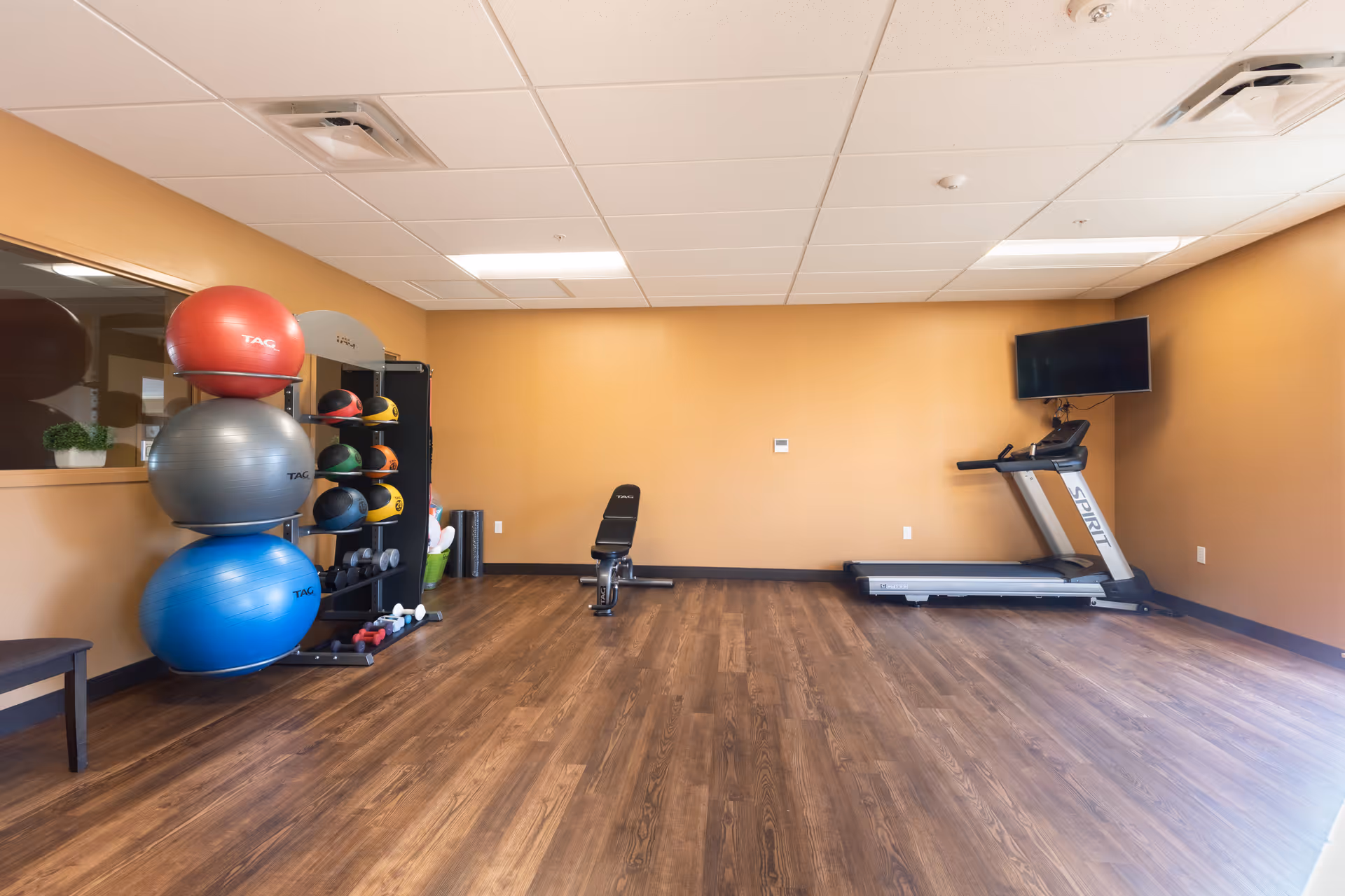 A fitness room with wooden flooring and beige walls featuring a treadmill with a wall-mounted TV above it, an adjustable workout bench, and a rack holding various exercise balls and weights.