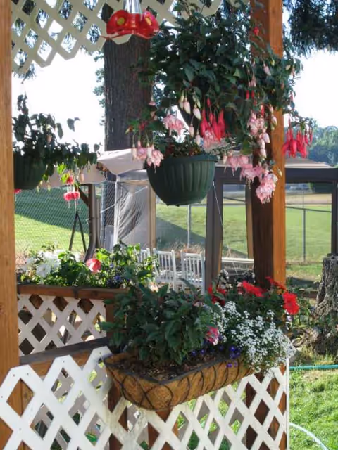 Outdoor garden patio with hanging baskets, colorful flowers, and lattice fencing.