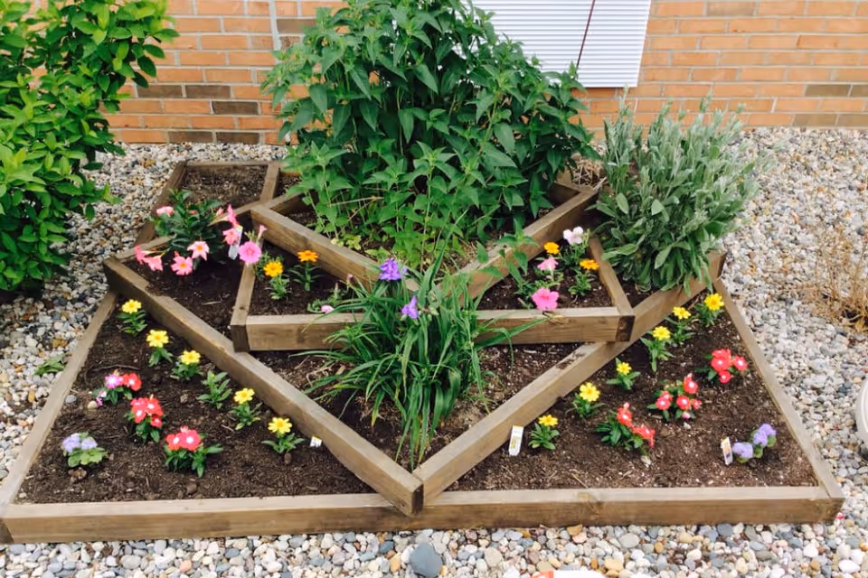 A geometric wooden raised garden bed filled with various flowering plants and green shrubs, surrounded by small pebbles and set against a brick wall.