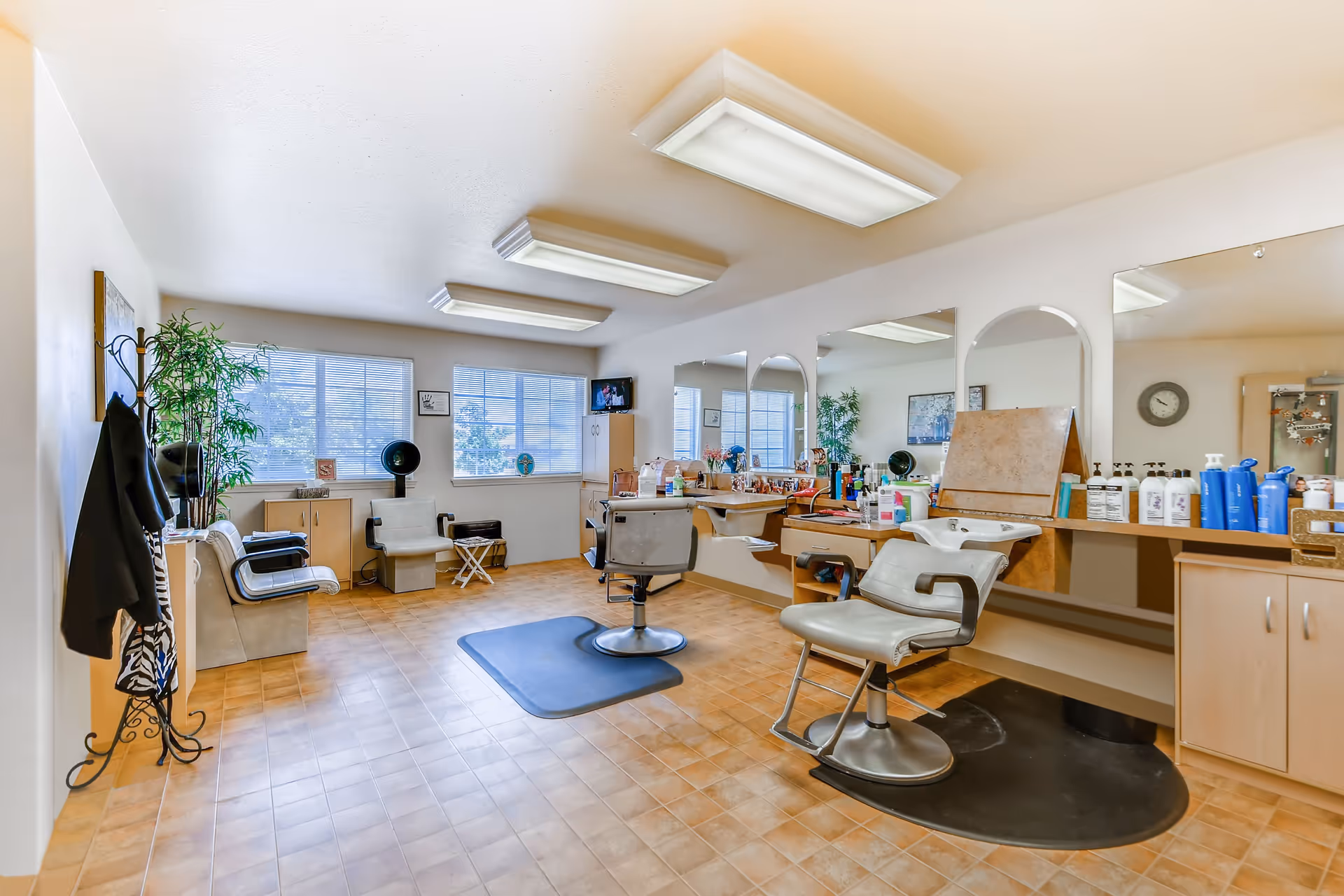 A bright and clean salon room with two salon chairs, large mirrors on the wall, various hair care products on the counter, a coat rack with jackets, a potted plant, and a small TV mounted near the windows letting in natural light.