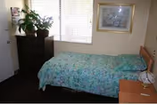 A small bedroom with a single bed covered in a floral bedspread, a wooden dresser with potted plants on top, a window with blinds letting in natural light, a framed picture on the wall, and a small nightstand with a clock.