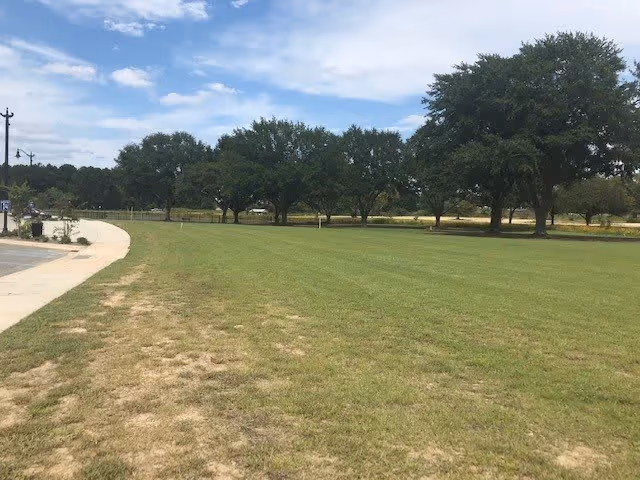 A large grassy outdoor area with a row of trees in the background under a partly cloudy sky. A paved sidewalk curves along the left side of the grass.