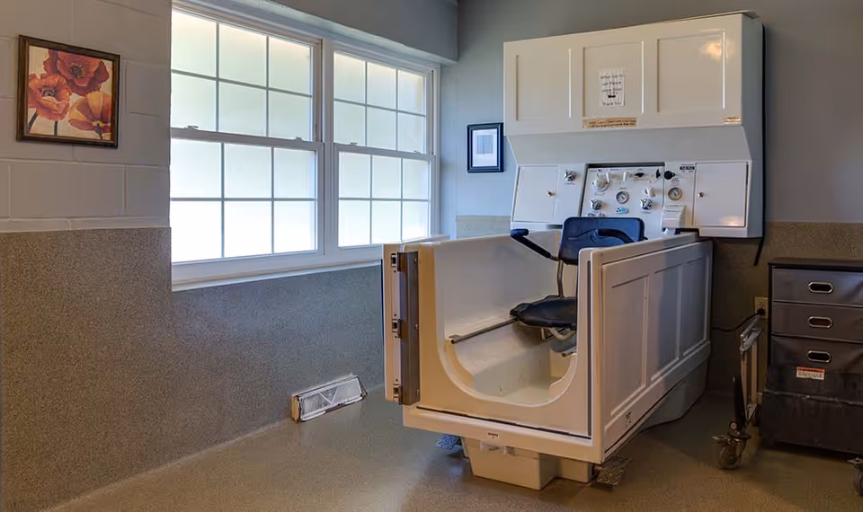 A bathing room with a specialized walk-in bathtub equipped with controls and a chair for assisted bathing. The room has a large window with frosted glass, a framed floral painting on the wall, and a small framed picture next to the bathtub. There is also a black rolling cart with drawers on the right side.