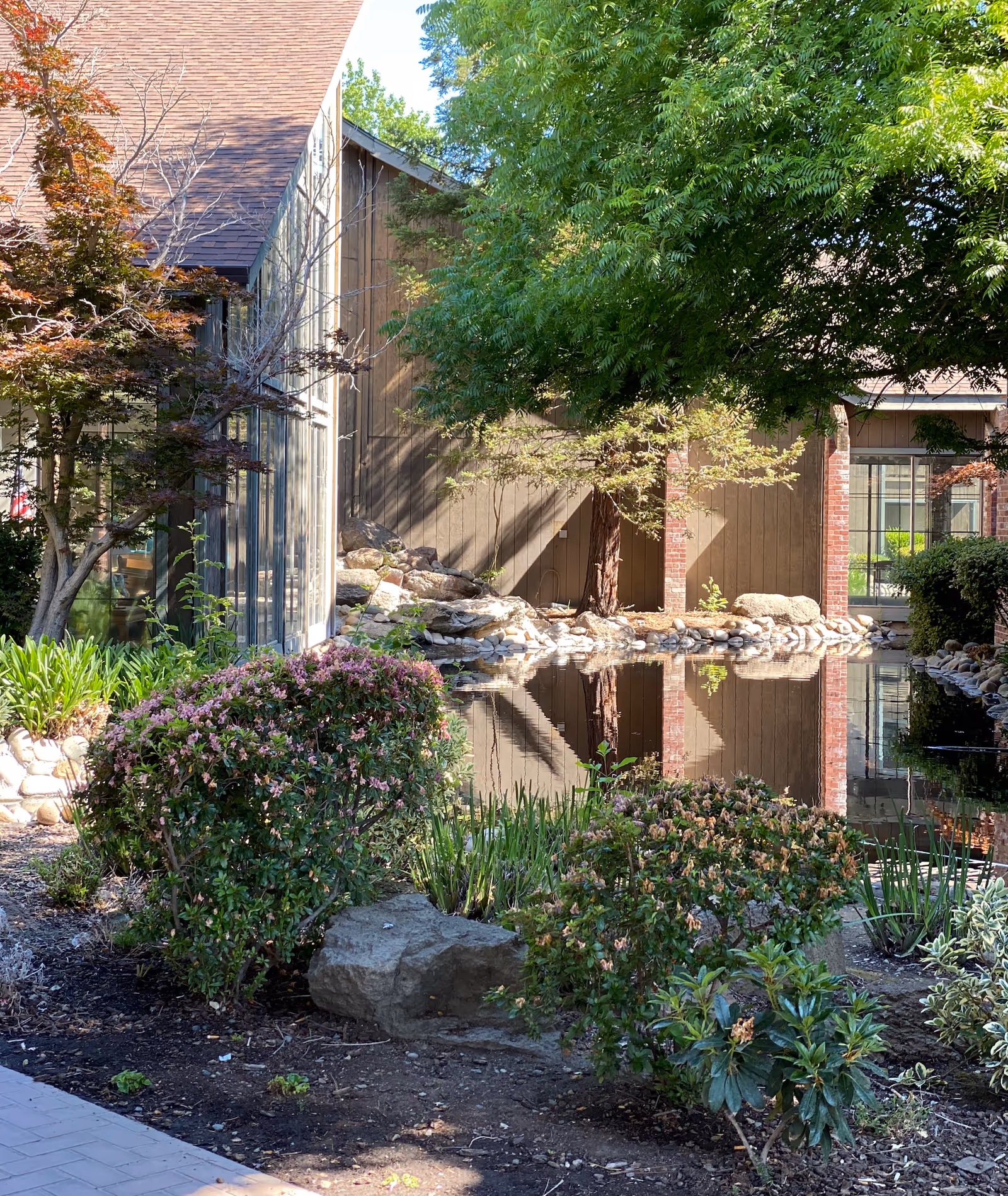 Outdoor garden area at The Crest at Citrus Heights featuring a small pond with clear reflections of surrounding trees and building. There are various green shrubs, plants, and rocks around the pond, with a building having large windows and a sloped roof in the background.