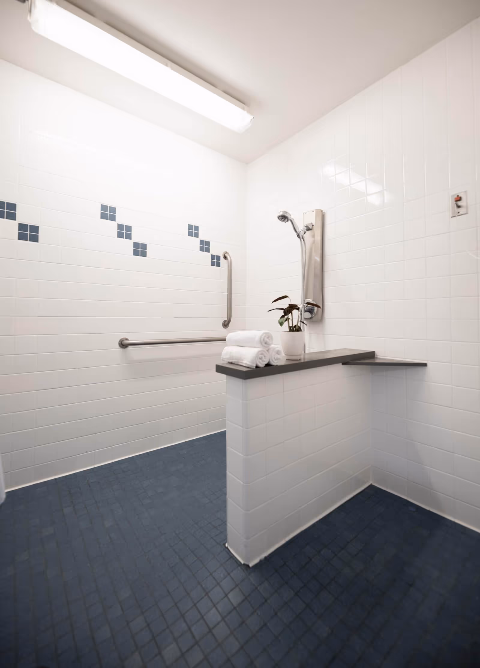 Accessible tiled shower with grab bars, a handheld shower head, a half-wall shelf holding rolled towels and a small potted plant.