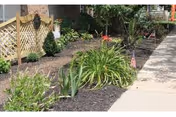 Landscaped garden bed with green plants and flowers alongside a concrete sidewalk next to a building.