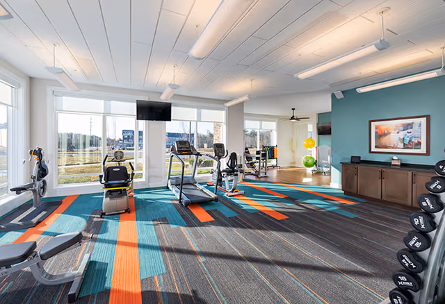 Bright and spacious fitness room with large windows letting in natural light. The room features various exercise equipment including treadmills, stationary bikes, and weight machines. The floor has a colorful carpet with blue, orange, and gray stripes. There is a wall-mounted TV and a cabinet with a framed picture above it. Exercise balls and additional fitness accessories are visible in the background.