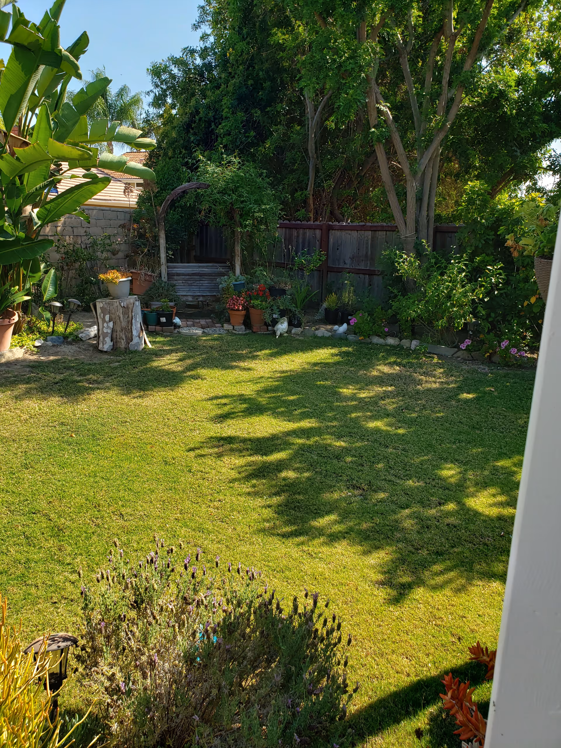 A sunny backyard garden with a well-maintained green lawn, various potted plants, and trees along a wooden fence. There is a small wooden archway covered with greenery and some garden decorations including a tree stump and small statues.