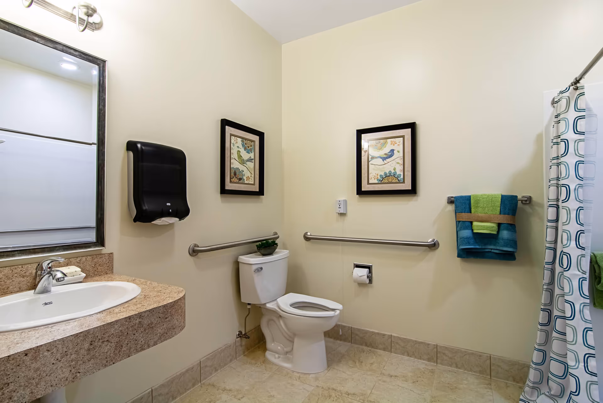 A clean and accessible bathroom with a toilet, a sink with a granite countertop, a large mirror, and a shower with a patterned curtain. The walls are light-colored and decorated with two framed pictures of birds. There are grab bars near the toilet and a towel rack with blue and green towels.