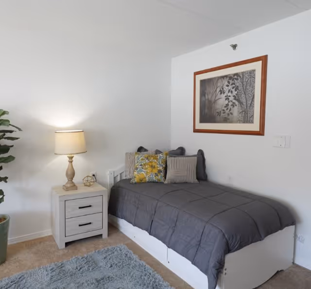 A small bedroom with a single bed covered in a dark gray comforter and several decorative pillows. Next to the bed is a light-colored nightstand with two drawers, a table lamp, and a small decorative item. A framed artwork featuring tree branches hangs on the white wall above the bed. A green potted plant is partially visible on the left side, and a light blue rug covers part of the beige carpeted floor.