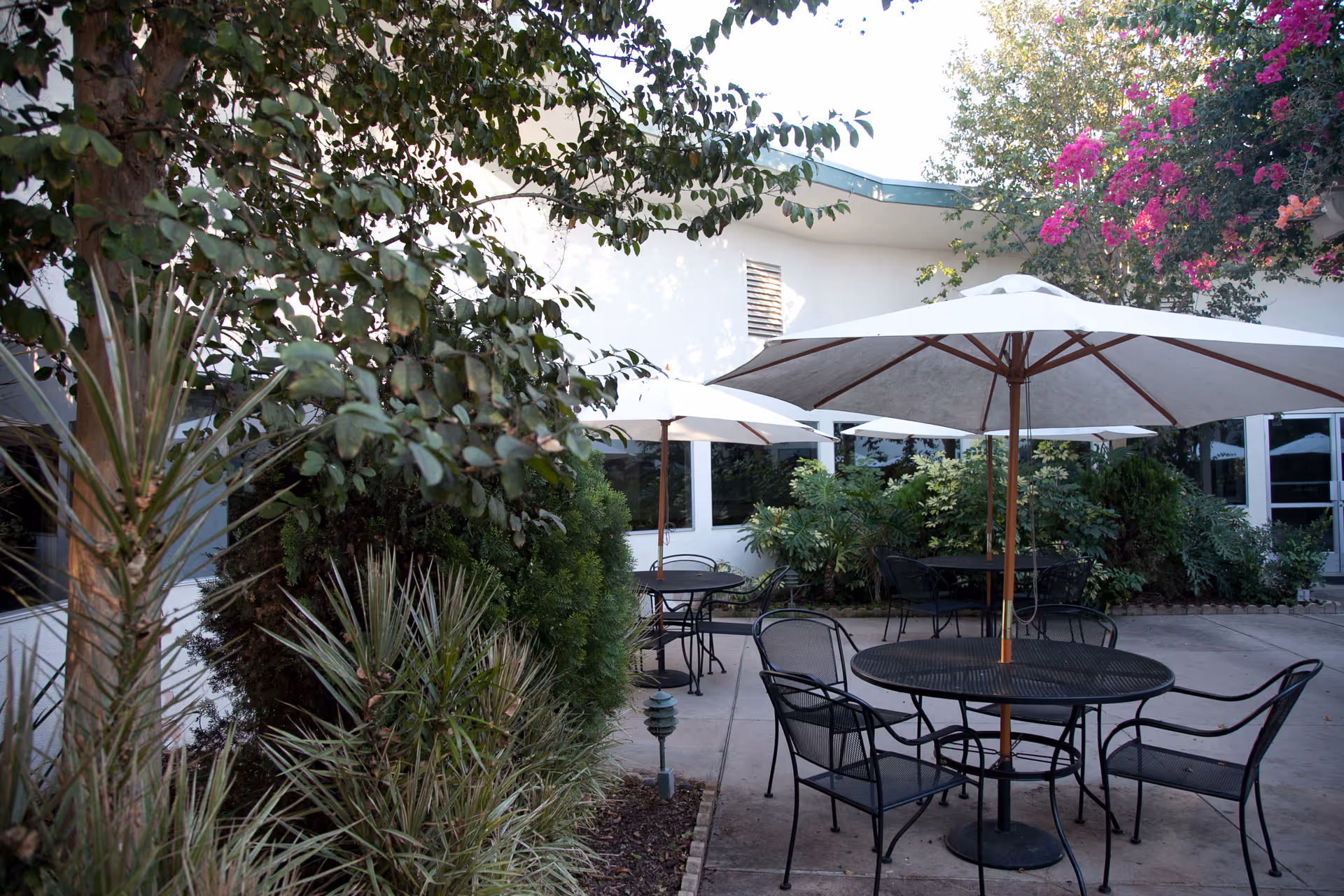 Outdoor patio area with round black metal tables and chairs under large white umbrellas, surrounded by green plants and trees, adjacent to a white building.