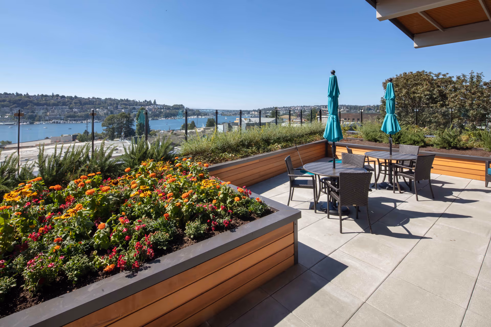Photo 11 of Aegis Living Lake Union