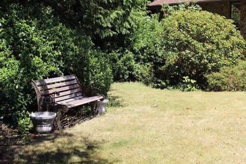 Outdoor garden area with a wooden bench, metal planters, and lush surrounding shrubs.