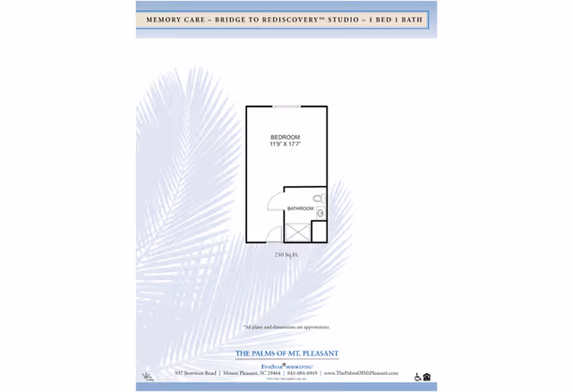 Floor plan layout for a Memory Care Bridge to Rediscovery Studio with 1 bedroom and 1 bathroom, showing a bedroom measuring 11 feet 9 inches by 17 feet 7 inches and a bathroom, totaling 250 square feet. The background features a faint palm leaf design. The Palms of Mt. Pleasant branding and contact information are at the bottom.