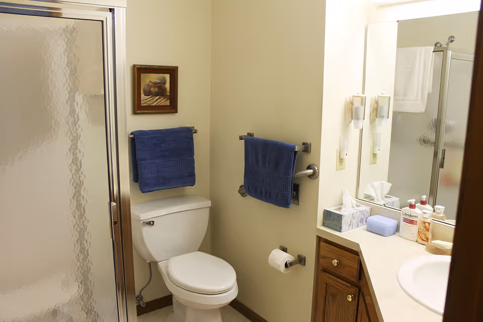 Bathroom featuring a toilet beside a glass-enclosed shower, a vanity with sink and mirror, and blue towels.