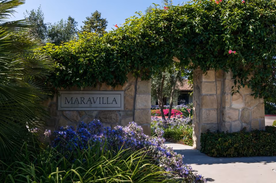 Stone archway entrance covered with green vines and surrounded by lush plants and purple flowers, with a sign that reads 'MARAVILLA'. A pathway leads through the archway to a garden area with more flowers and trees.