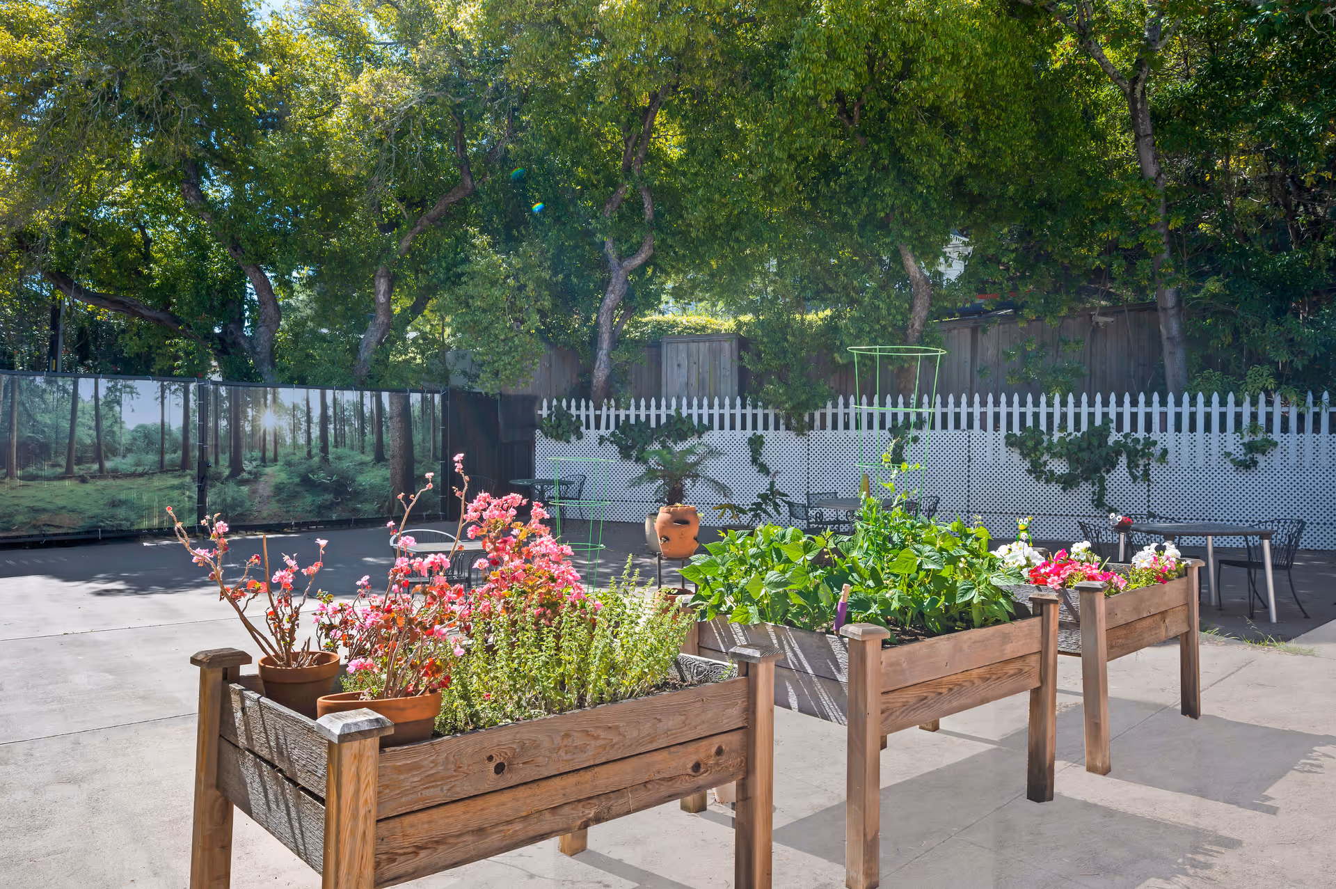 Outdoor patio area with raised wooden garden beds containing various plants and flowers. There are several potted plants on the garden beds. In the background, there is a white picket fence with some greenery climbing on it, and tall trees providing shade. Metal tables and chairs are arranged near the fence, and a decorative clay chiminea is visible.