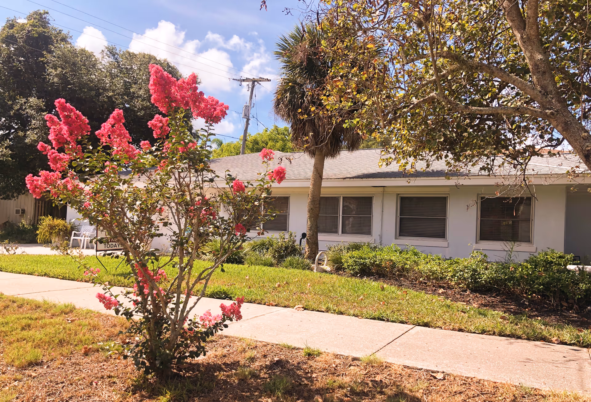 Exterior view of a single-story building with white walls and multiple windows, surrounded by green shrubs and trees. In the foreground, there is a flowering bush with bright pink blossoms next to a concrete sidewalk. The sky is blue with some clouds.