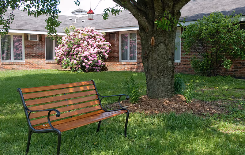 A wooden bench with black metal armrests and legs sits on green grass under a large tree in a garden area. Behind the bench is a brick building with windows and a blooming pink flower bush near the wall.