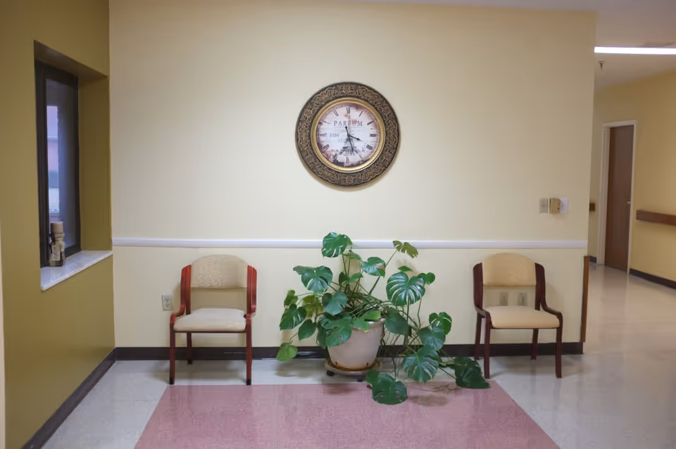 A hallway area in an assisted living facility with two beige cushioned chairs with wooden arms placed on either side of a large potted green plant. Above the plant, a decorative wall clock with Roman numerals is mounted on a light yellow wall. There is a window on the left side and a doorway leading to another hallway on the right.