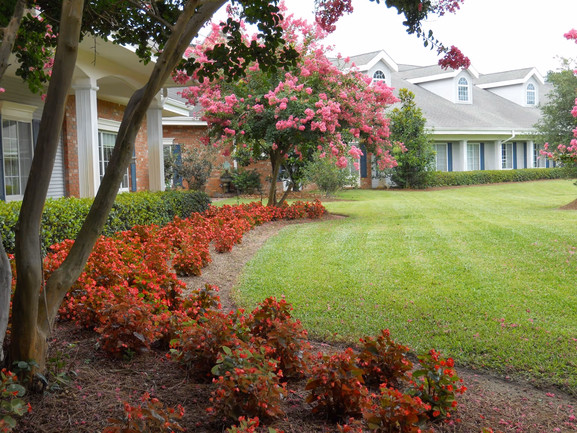 A well-maintained garden area with green grass, red flowering plants along a mulched bed, and a tree with pink blossoms in front of a large building with white columns and multiple windows.