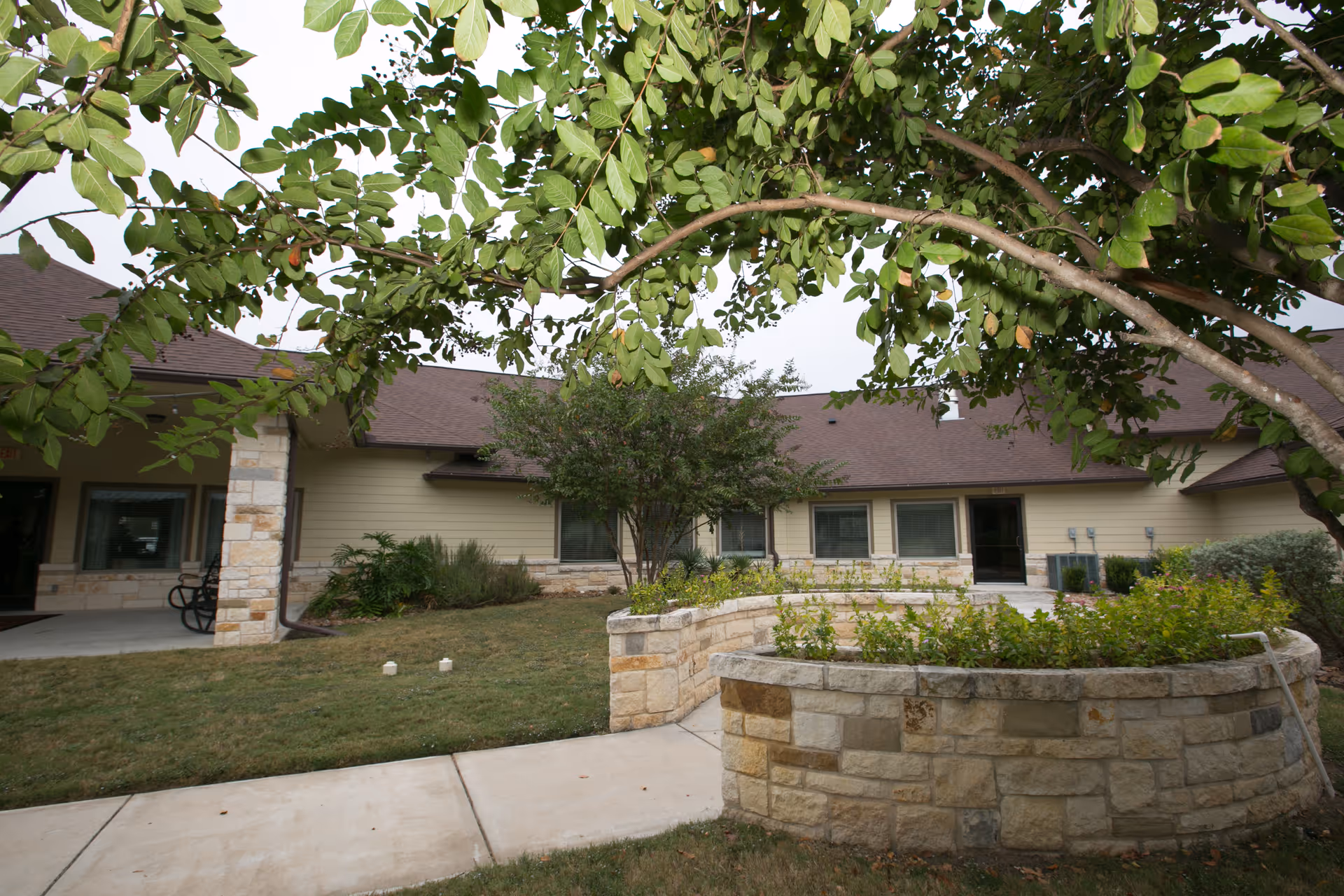 Outdoor view of a senior living facility courtyard with a stone planter filled with greenery, a tree with green leaves arching over the walkway, and a beige building with multiple windows and a brown roof in the background.