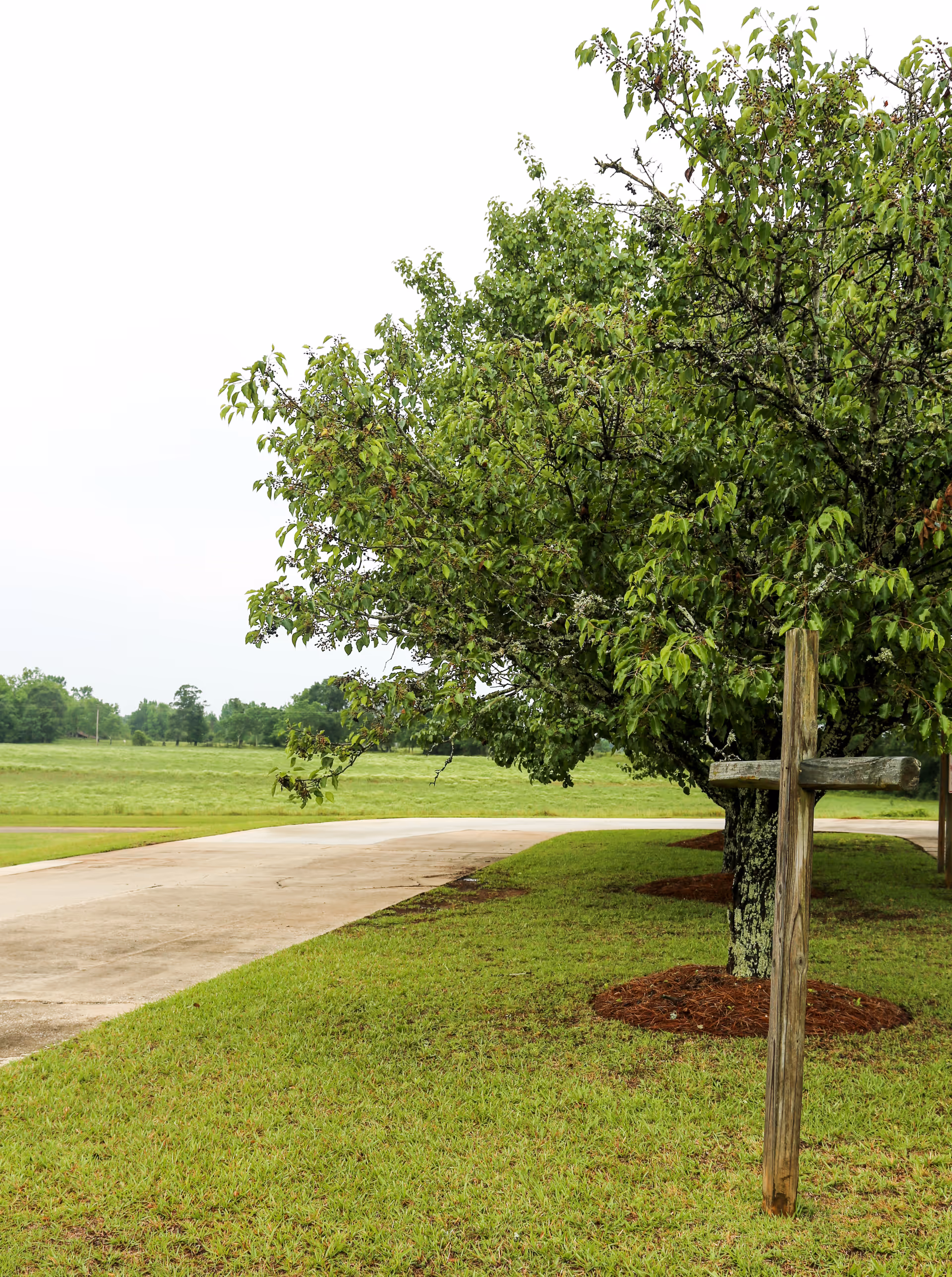 A paved pathway curves through a grassy area with green trees on the right side. A wooden cross is planted in the grass near one of the trees. The background shows an open field with more trees in the distance under an overcast sky.