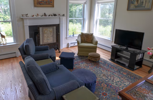 A cozy living room with large windows letting in natural light. The room features two blue striped armchairs, a green armchair, a patterned area rug, a small ottoman, a TV on a black stand, and a decorative fireplace with small bird figurines on the mantel. Hardwood floors and framed artwork complete the space.