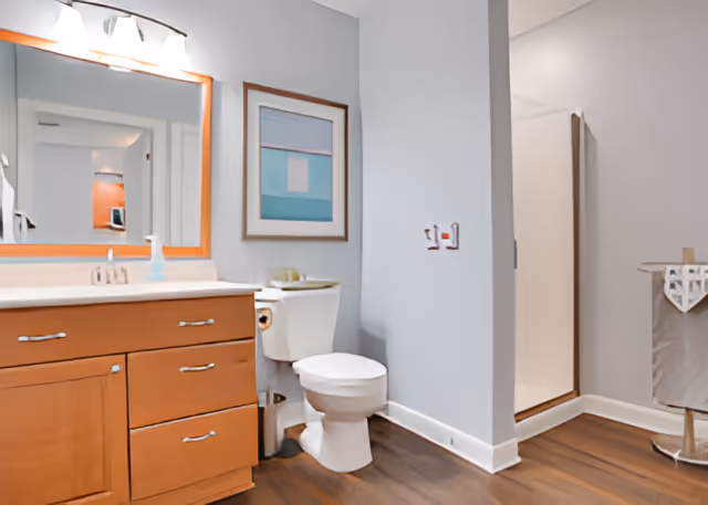 A clean and modern bathroom featuring a wooden vanity with a large mirror above it, a white toilet, and a walk-in shower with a glass door. The walls are painted light gray and there is a framed abstract artwork hanging above the toilet. The floor has dark wood-style flooring.