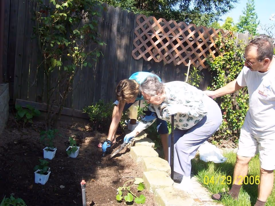 Two women and one man gardening in a backyard with a wooden fence and plants. One woman is bending down planting or tending to the soil, the other woman is assisting her, and the man is standing nearby watching. The scene is sunny and outdoors.