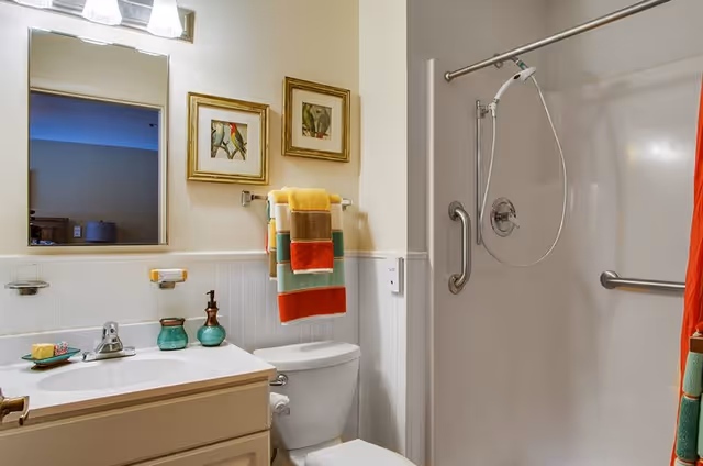 A clean bathroom featuring a white sink with a faucet, a mirror above it, and two framed bird pictures on the wall. There is a toilet next to the sink with colorful folded towels hanging on a rack above it. To the right, there is a shower area with a grab bar and a handheld showerhead.