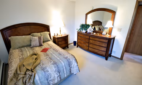 A bedroom with a wooden bed frame and headboard, a bed made with patterned bedding and pillows, a nightstand with a lamp and small decorative items, a wooden dresser with a large mirror, lamps, and decorative plants, and a beige carpeted floor.