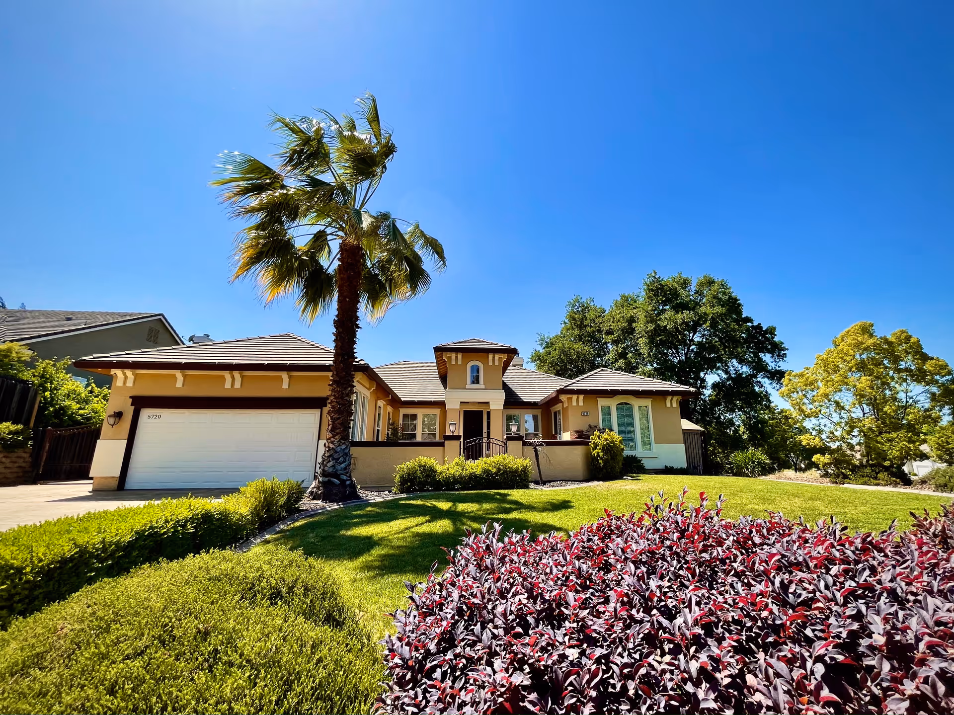 Single-story facility front exterior with palm tree, manicured lawn, and clear blue sky.