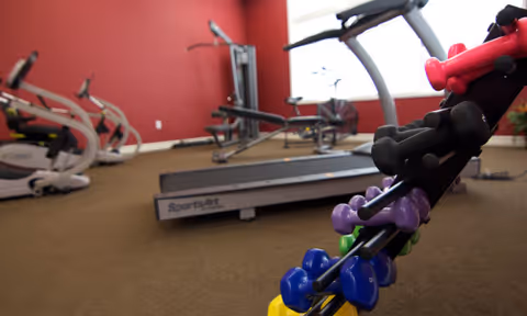 Exercise room with treadmills, stationary bikes and a rack of colorful dumbbells against a red wall.