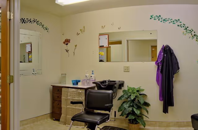 A small salon/styling station with a black barber chair, sink, mirror, dresser, potted plant and wall decals.