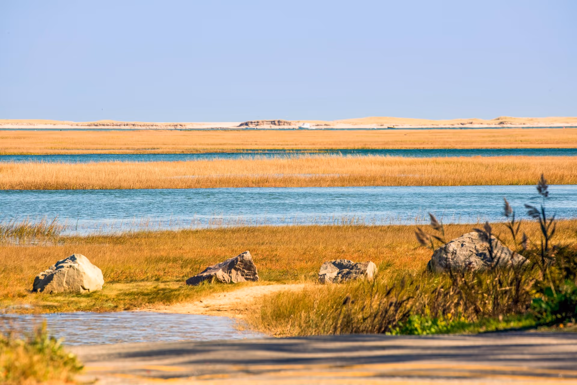 A scenic outdoor view featuring a calm body of water surrounded by tall golden grasses and rocks, with a clear blue sky overhead.