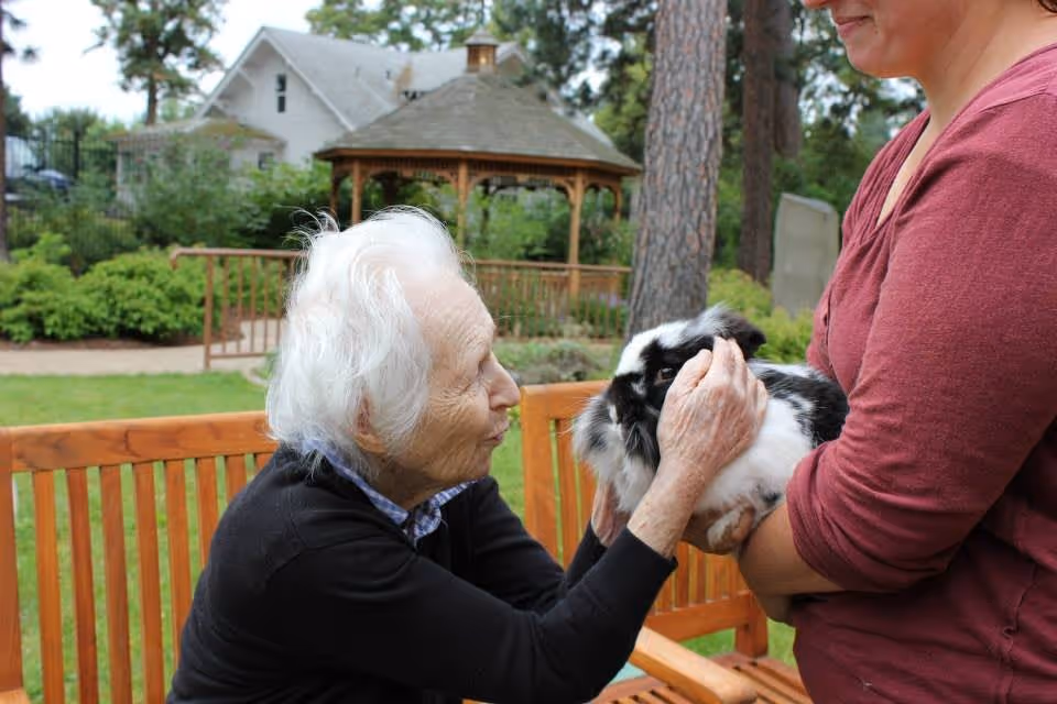 An elderly woman sitting on a wooden bench outdoors gently pets a black and white rabbit held by a person wearing a maroon long-sleeve shirt. In the background, there is a gazebo, trees, bushes, and a house.