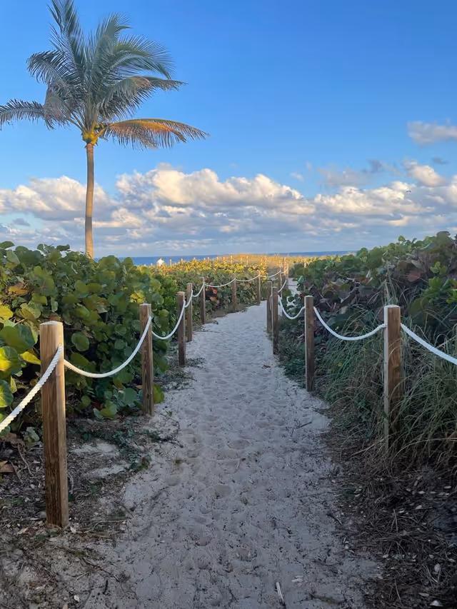 Sandy pathway lined with wooden posts and white ropes leading through green bushes towards a beach with a palm tree on the left and a blue sky with scattered clouds above.
