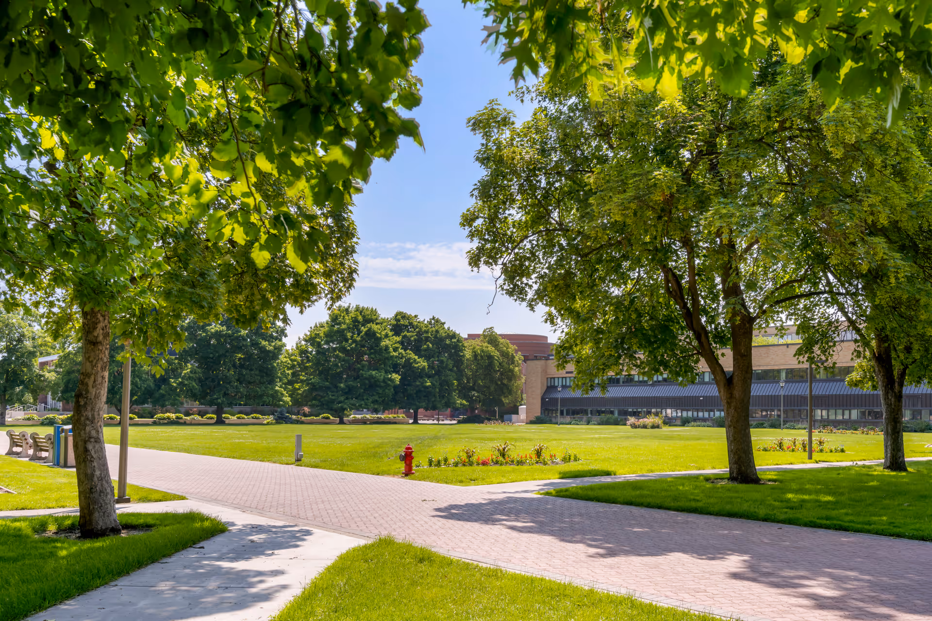 A sunny outdoor scene at Brookdale Park Place featuring a paved walkway surrounded by green grass and large leafy trees. Benches and a fire hydrant are visible along the path, with a building in the background under a clear blue sky.