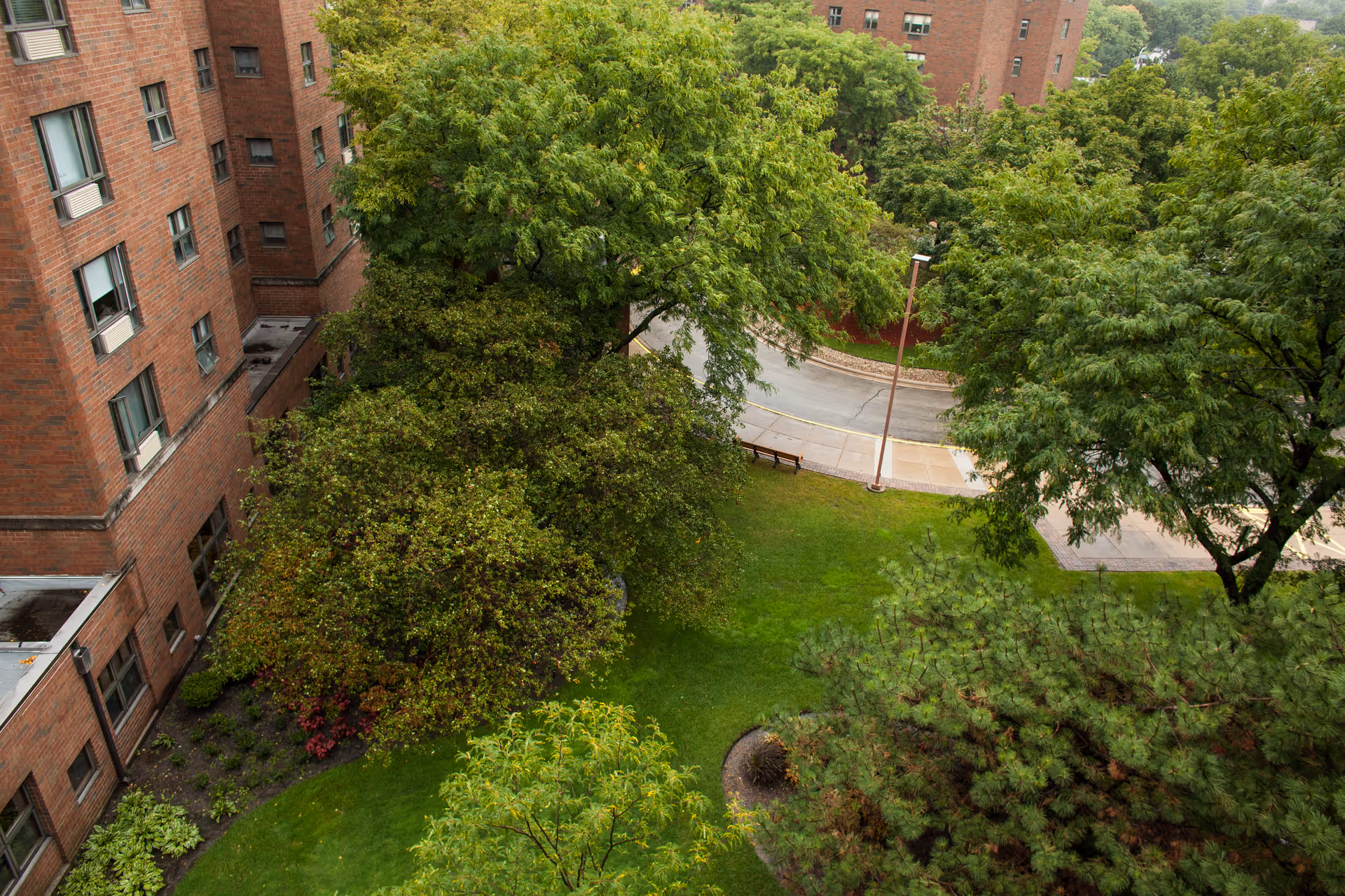 Overhead view of a grassy courtyard with trees beside a brick residential building and a curved driveway.