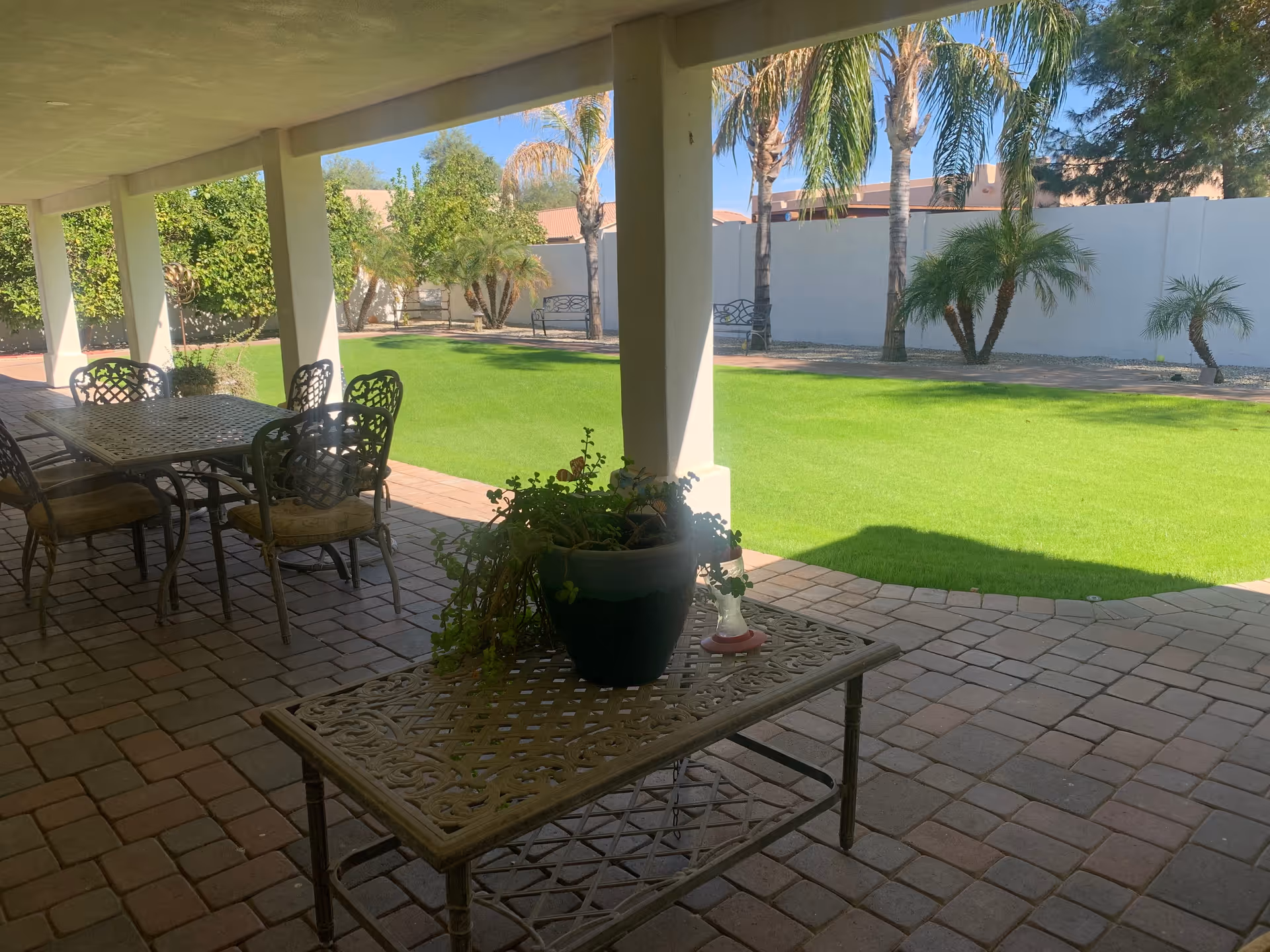 Covered patio area with metal table and chairs, a small table with a potted plant, overlooking a green lawn with palm trees and benches along a white wall in the background.