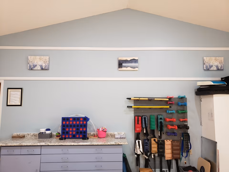 A light blue wall with three small landscape paintings hung near the ceiling. Below is a countertop with various items including a large Connect Four game, containers, and a pink bucket. To the right, a pegboard holds colorful dumbbells, resistance bands, and other exercise equipment. Below the countertop are light purple drawers.