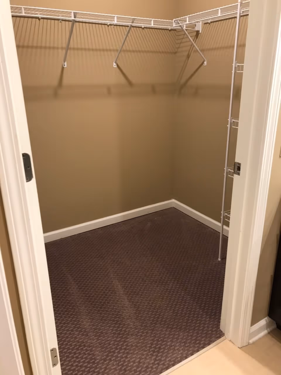 Empty walk-in closet with beige walls, brown carpeted floor, and white wire shelving along the top and side walls.