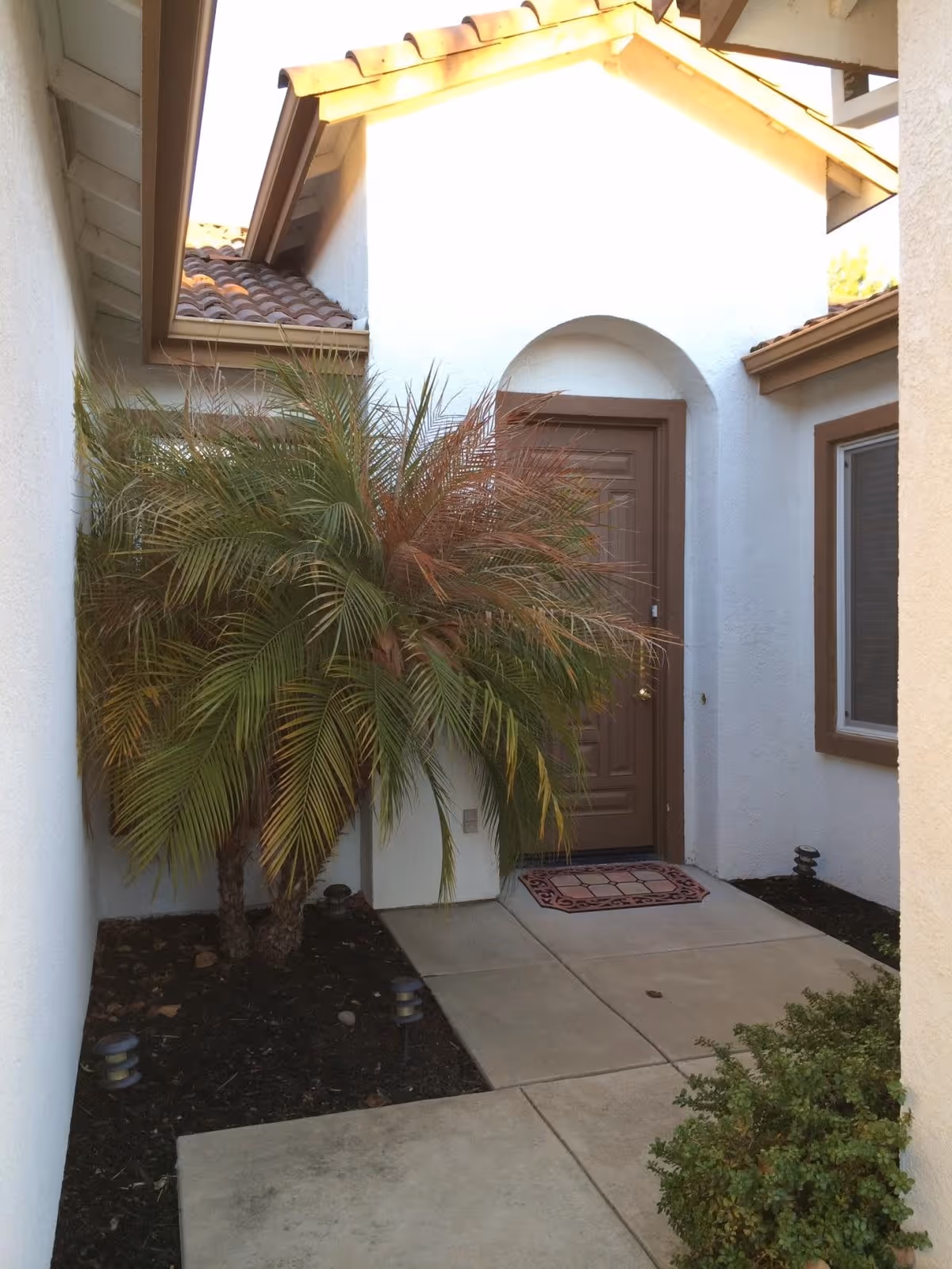 Entryway of a residential building with a brown front door, a small doormat, and a walkway surrounded by plants including a palm tree and shrubs. The building has white walls and a tiled roof.
