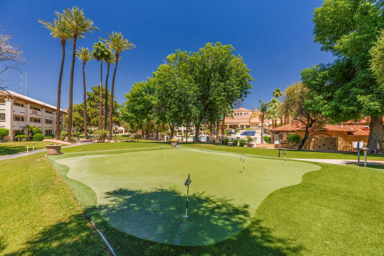 Outdoor putting green surrounded by grass, palm trees, and other trees with a clear blue sky. Buildings and a tiled roof structure are visible in the background.