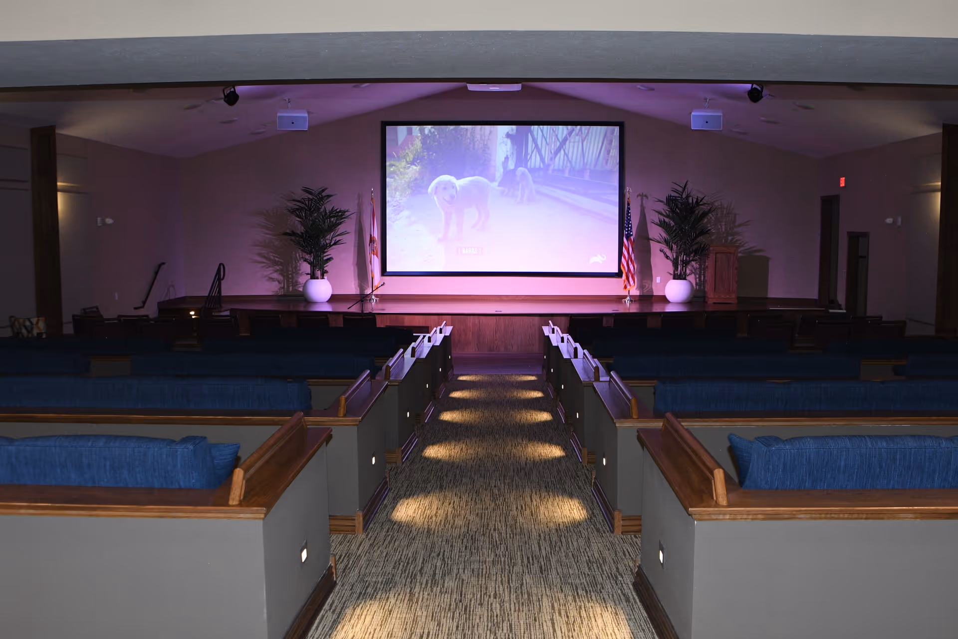 Interior view of a theater or auditorium room with rows of blue cushioned seats facing a large screen showing an image of two dogs. The room has carpeted flooring, potted plants on either side of the stage, and flags near the screen.