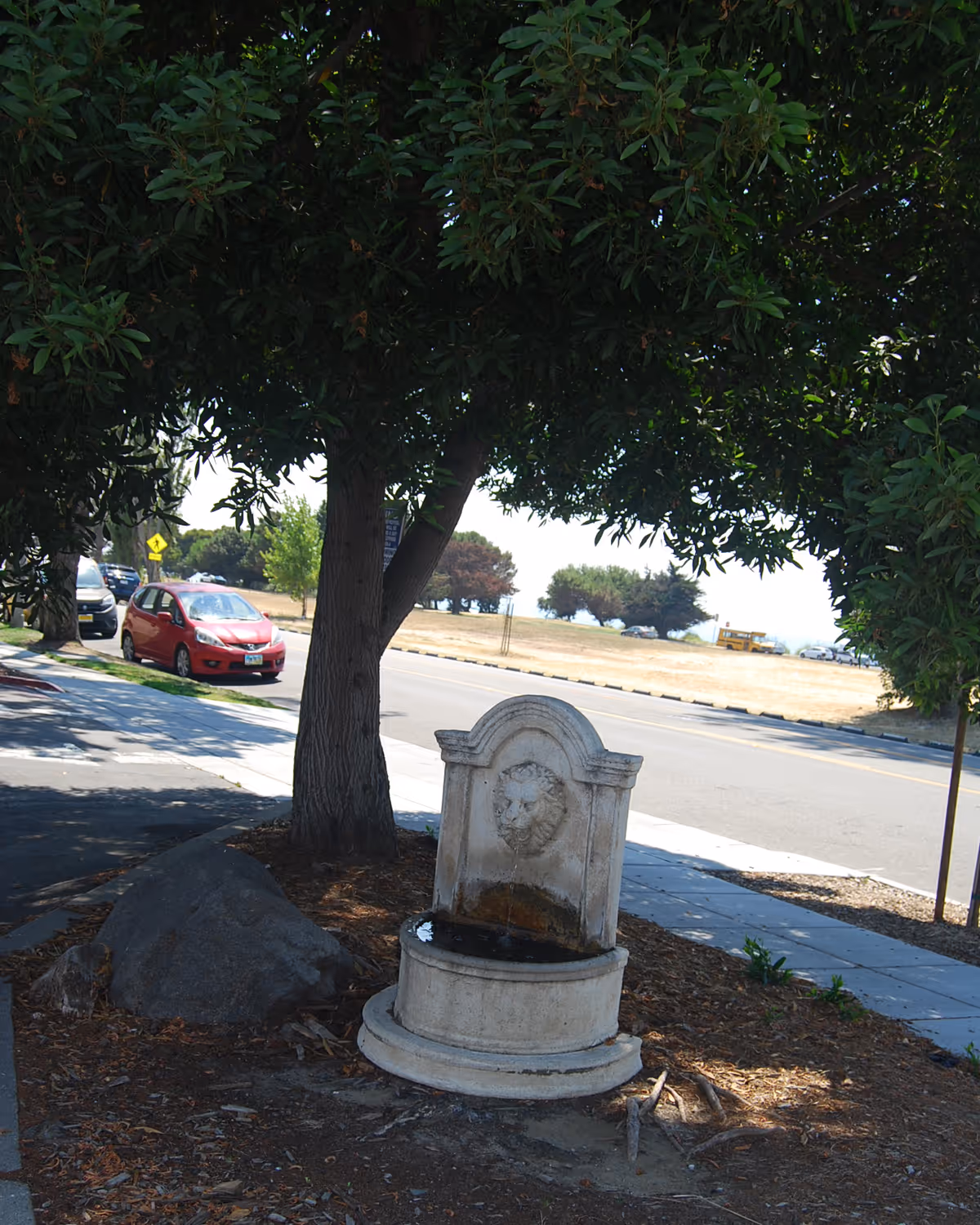Outdoor scene showing a stone water fountain with a lion's head design, placed under a large leafy tree next to a sidewalk. A red car is parked on the street nearby, and there is a grassy area with trees in the background.