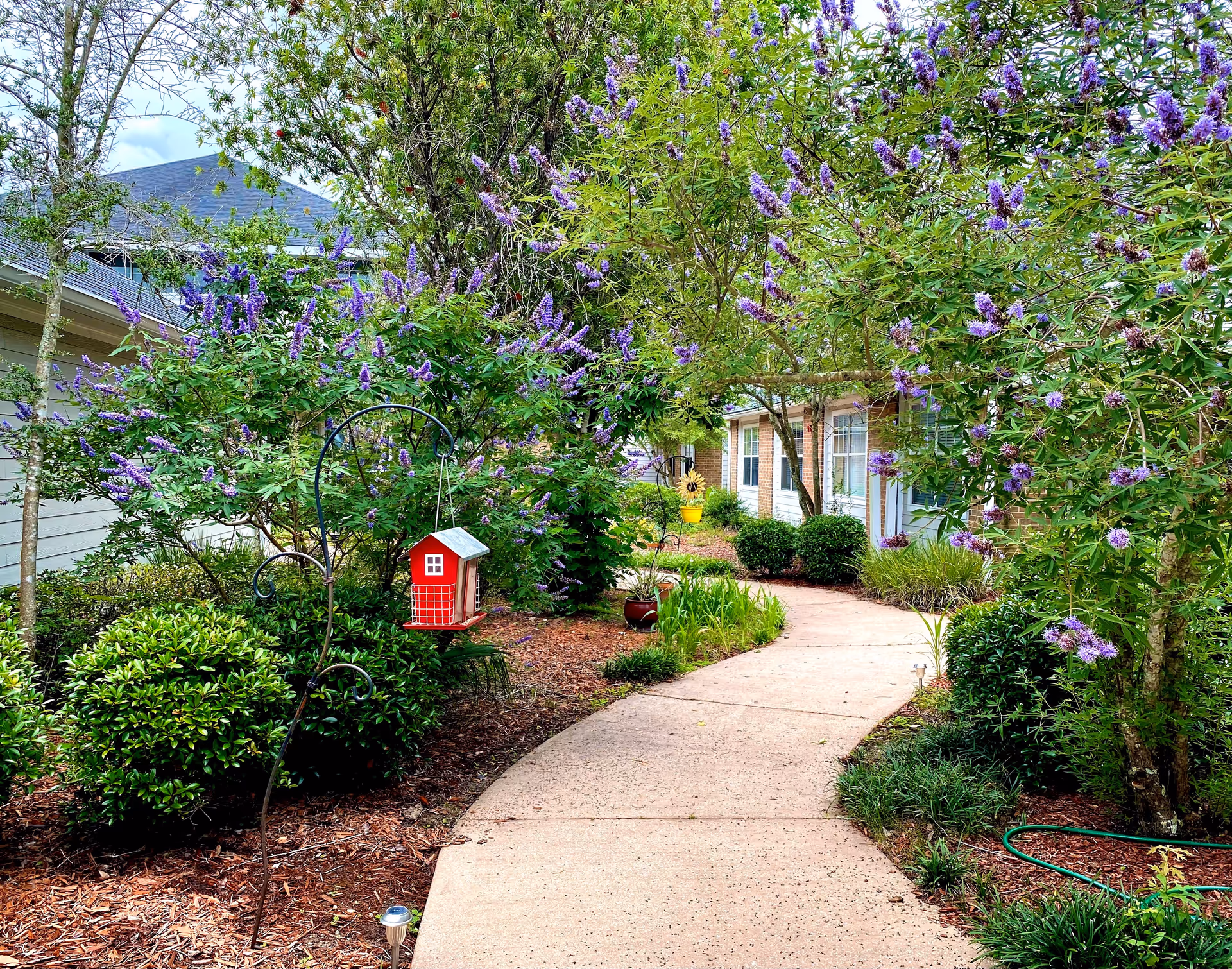 A curved sidewalk winds through a landscaped garden with purple-flowering shrubs and a small red birdhouse toward the entrance of a brick senior living building.