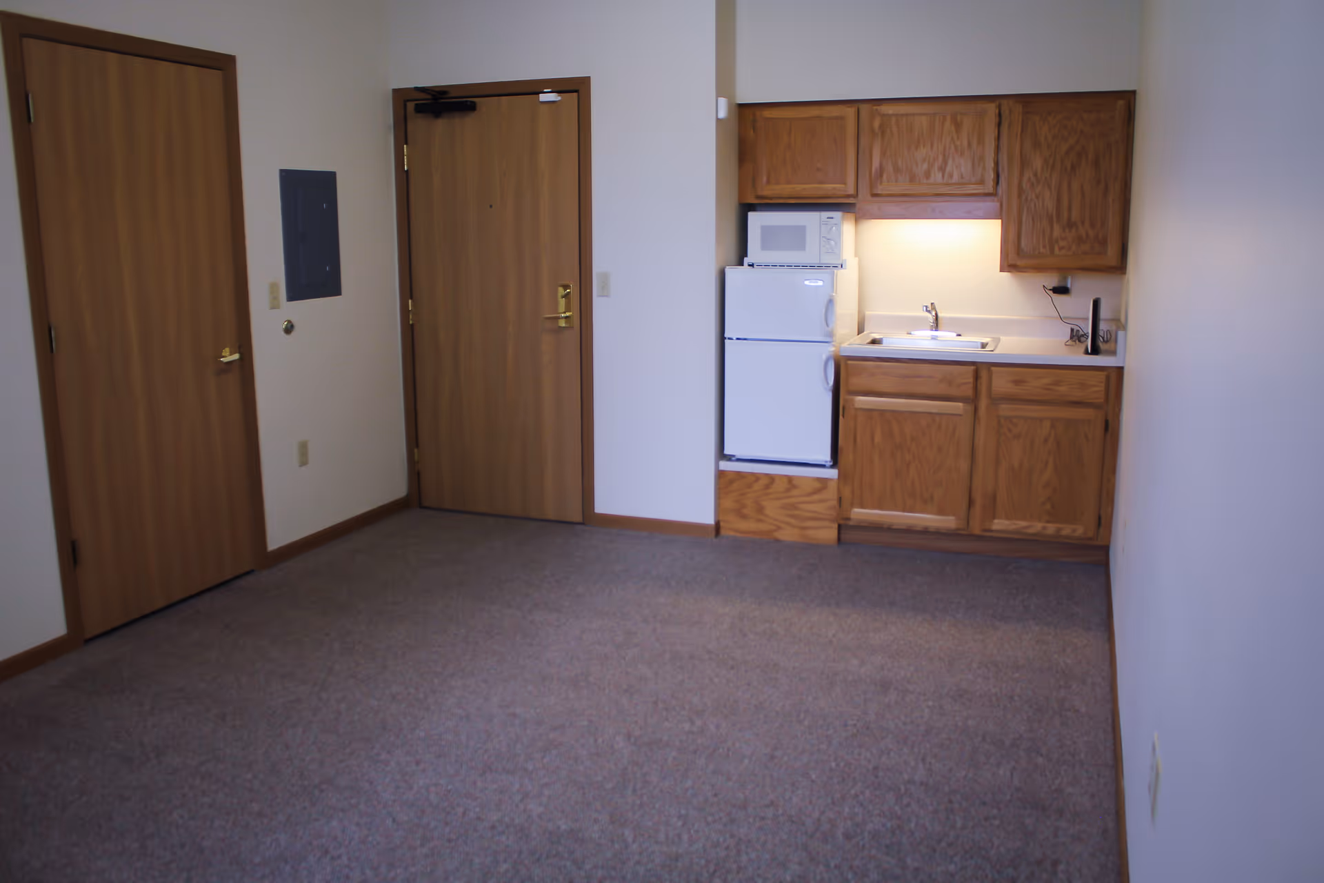 Small room with beige carpet and white walls featuring a wooden door, a closet door, and a kitchenette area with wooden cabinets, a small refrigerator, a microwave, and a sink under cabinet lighting.